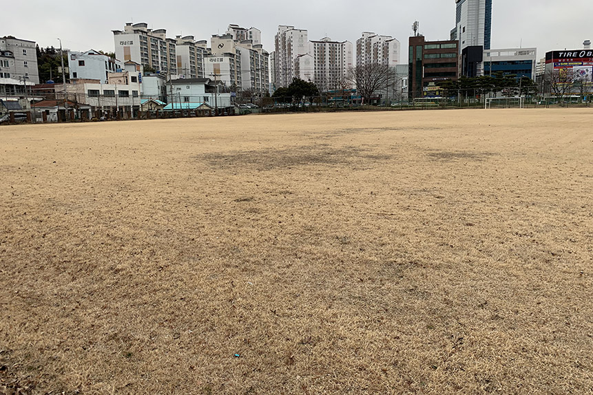 잔디구장